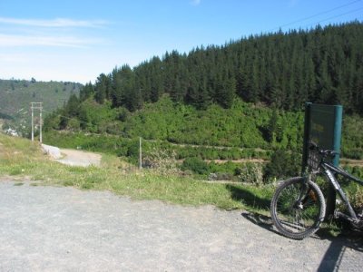 3 Tantragee Saddle