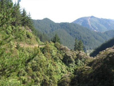 4 Fringed Hill Road