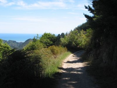 09 Dun Mountain Track